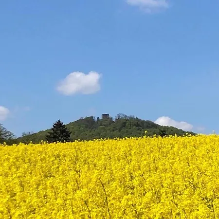 Marlen * 萨勒河畔瑙姆堡