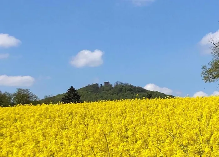 Marlen * 萨勒河畔瑙姆堡